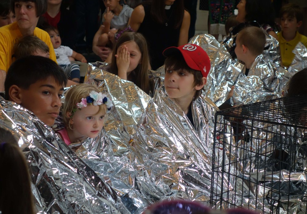 Niños protestan contra de la separación de las familias migrantes en EUA