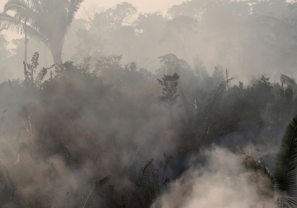 Comienzan a sofocar incendios en el Amazonas