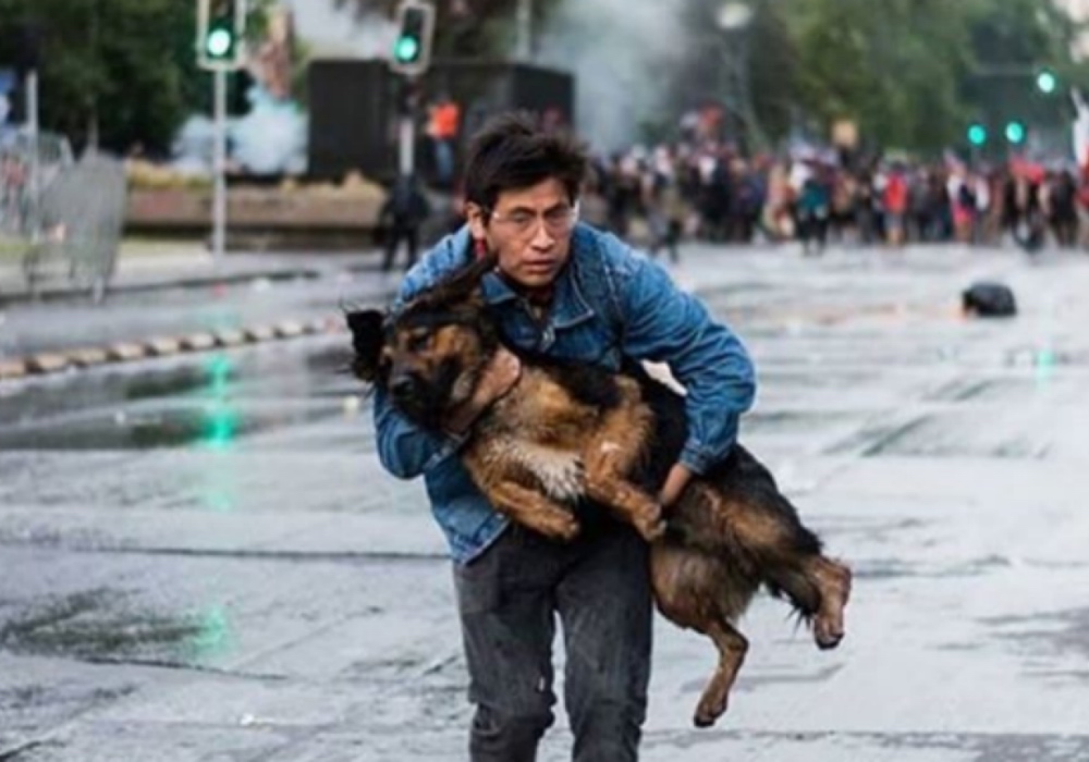 Viral: joven salva a perro de manifestaciones en Chile